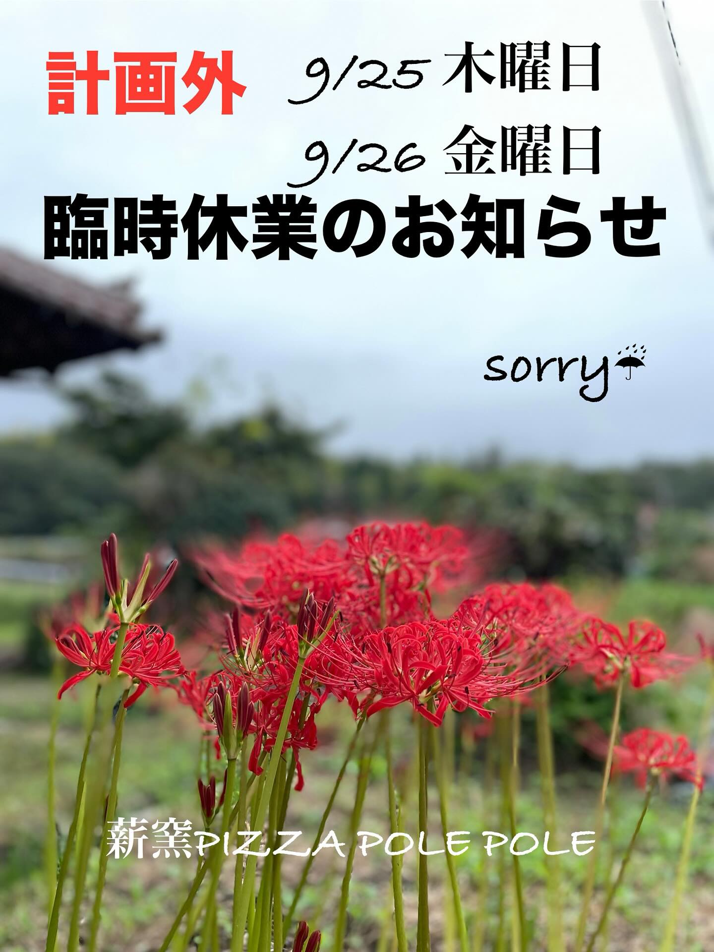 2025.09.23(tue)秋分の日