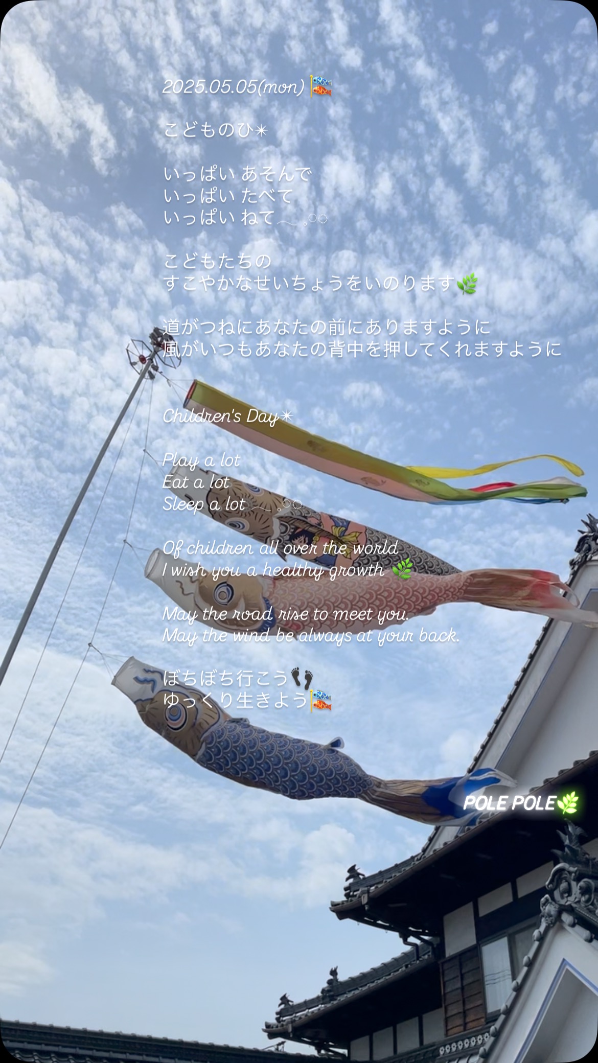 2025.05.05(mon) 🎏