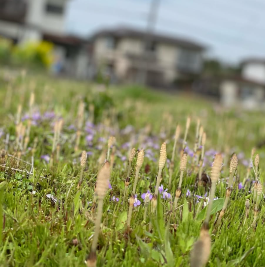 暖かい春の1日 - 別れと出会いを噛みしめて