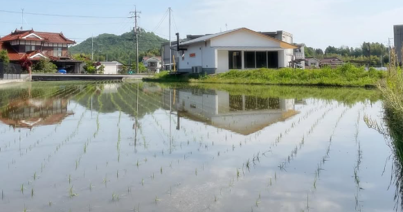 POLE POLE田んぼの田植え完了