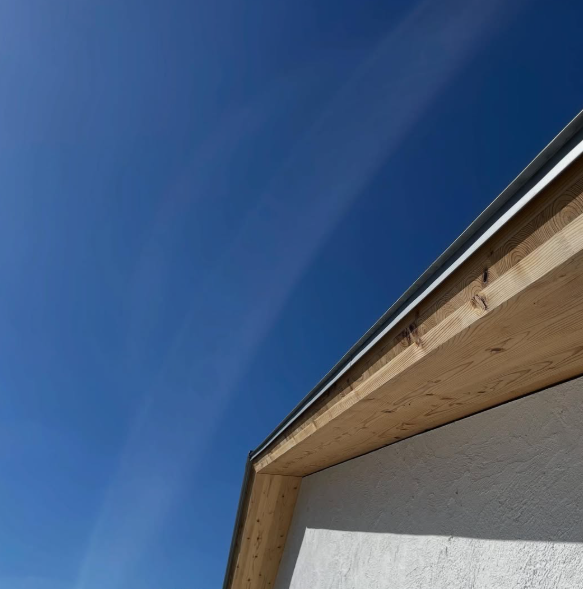 秋晴れの朝のひととき