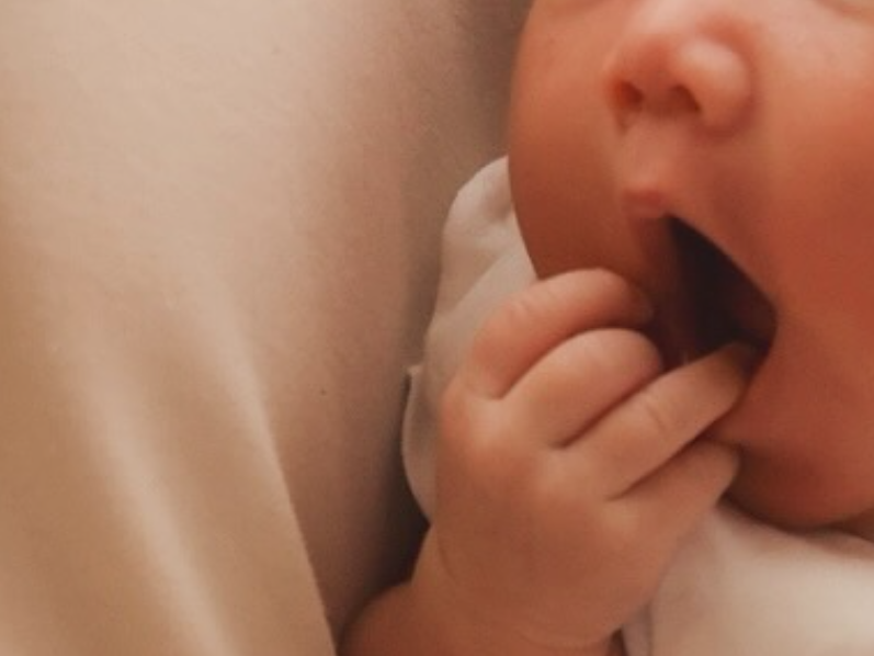 NPO日本食育インストラクターPrimary資格を取得しました